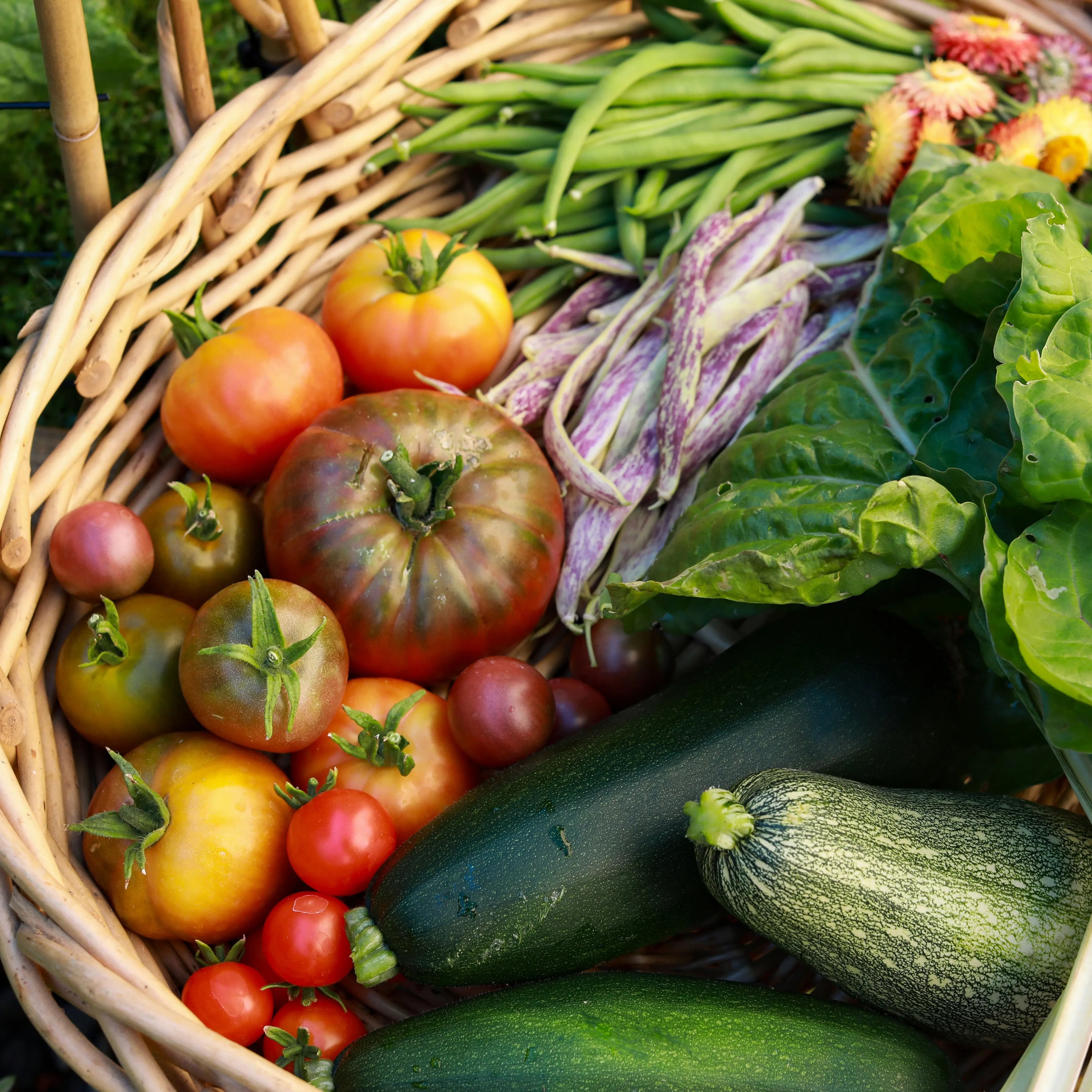 A full basket of fresh farm vegetables