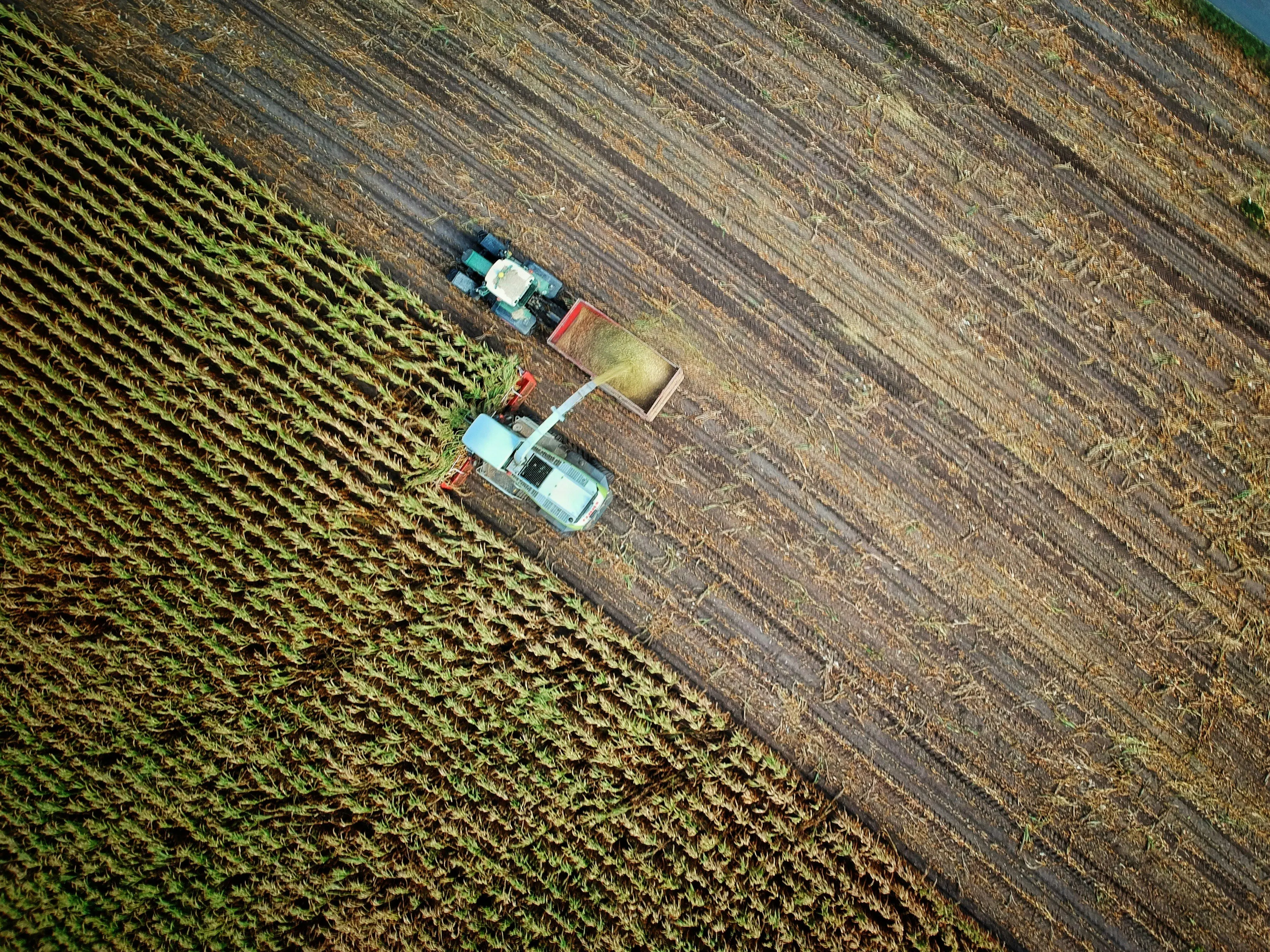 Aerial view of a managed farmland field with tractors at work, showing active farm operations