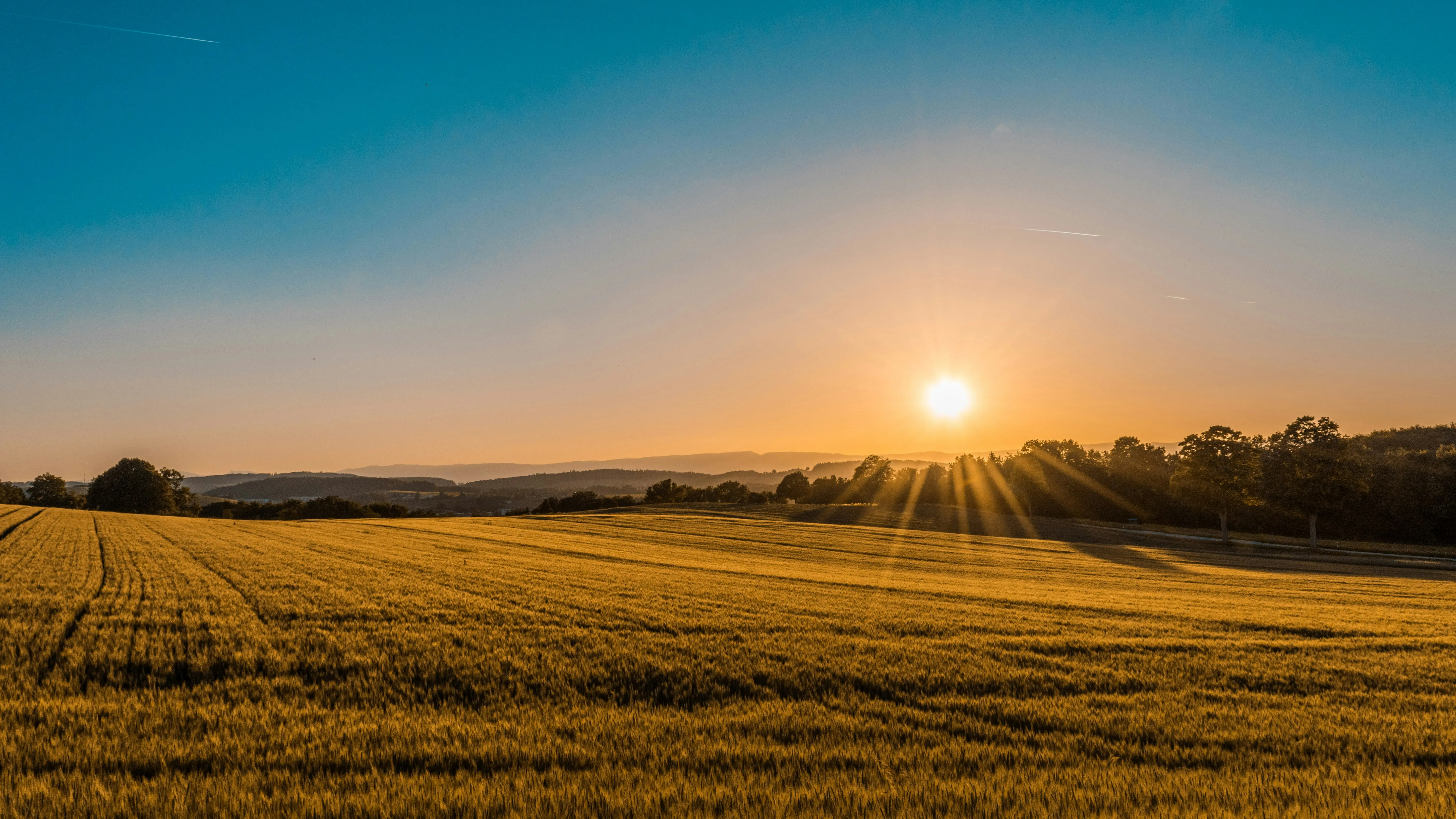 Golden farmland at sunset, the asset that earns